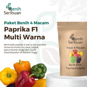 Benih Paprika 4 Macam Benih Sayuran Paket Paprika 4 Warna Seribuan