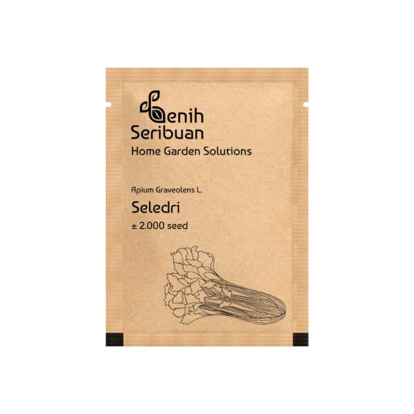 Benih Seledri