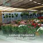 Paranet Peneduh Sinar UV Matahari dan Hujan - Perlindungan Maksimal Greenhouse Kebun Arena Bermain Kolam Kandang dari Matahari & Hujan