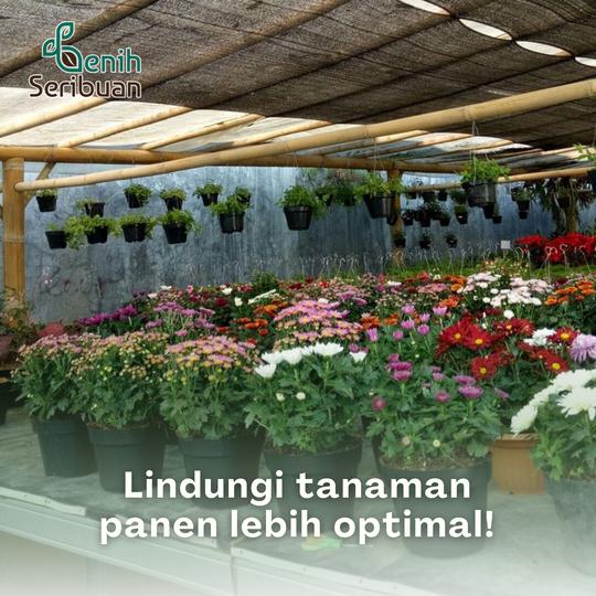 Paranet Peneduh Sinar UV Matahari dan Hujan - Perlindungan Maksimal Greenhouse Kebun Arena Bermain Kolam Kandang dari Matahari & Hujan 3 Paranet Peneduh Sinar UV Matahari dan Hujan - Perlindungan Maksimal Greenhouse Kebun Arena Bermain Kolam Kandang dari Matahari & Hujan