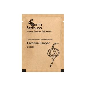 Benih Cabe Carolina Red Reaper Merah Cabai Pedas Heirloom Premium