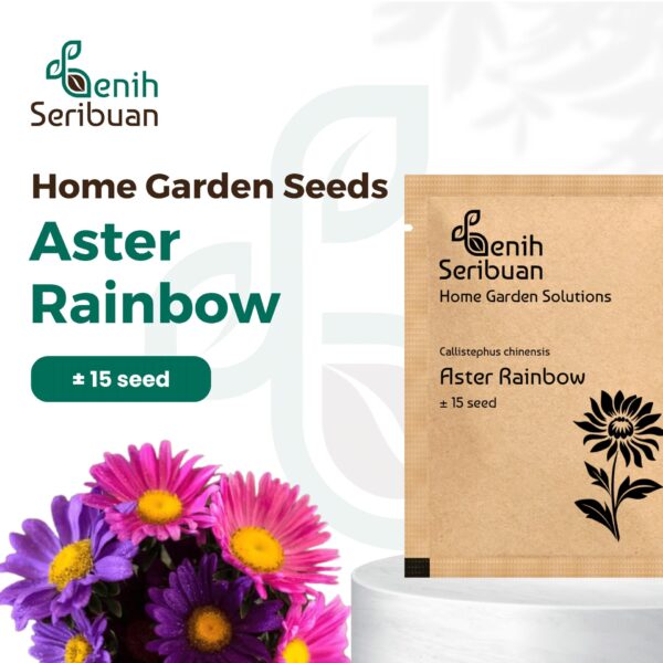Bibit Bunga Aster Rainbow Mixed Heirloom Premium