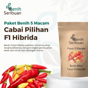 Benih Cabe 5 Macam Benih Cabai Rawit Hibrida Seribuan