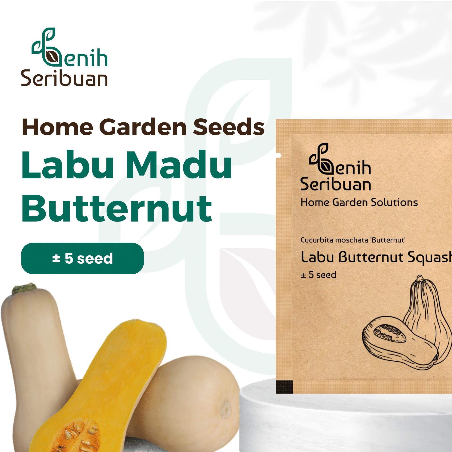 Benih Buah Labu Madu Butternut Squash F1 Hibrida Premium