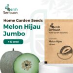 Benih Buah Melon Hijau F1 Hibrida Premium