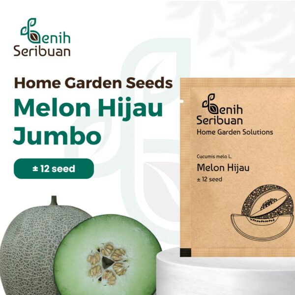 Benih Buah Melon Hijau F1 Hibrida Premium