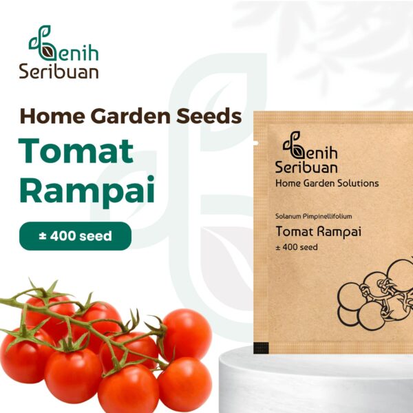 Benih Tomat Mini Rampai 1 Benih Tomat Mini Rampai