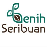 Benih Cabe Hias Ornamental Pelangi, Carolina, Jalapeno DLL