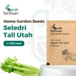 Benih Seledri Batang Besar