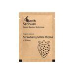 Benih Buah Strawberry Putih Unggul Premium