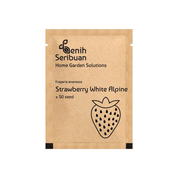 Benih Buah Strawberry Putih Unggul Premium