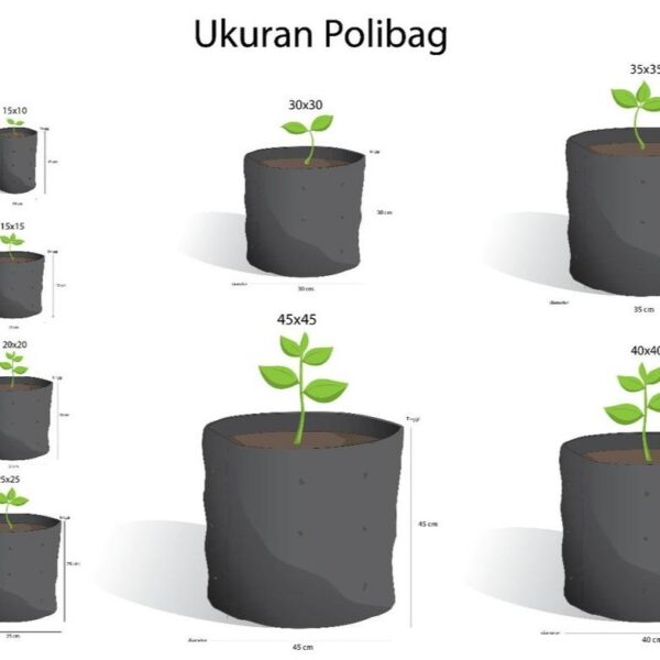 Polybag Tanaman Isi Ratusan Lembar Plastik Polibag Tebal Tahan Lama 2 Polybag Tanaman Isi Ratusan Lembar Plastik Polibag Tebal Tahan Lama