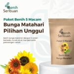 Benih Bunga Matahari 5 Macam Benih Tanaman Sunflower Paket Seribuan