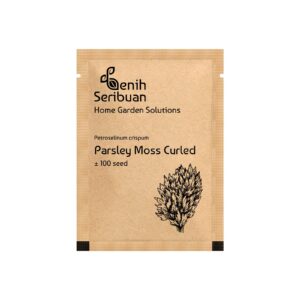 Bibit Parsley Moss Curly Tanaman Herb Premium