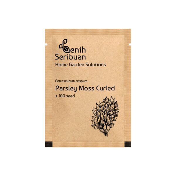 Bibit Parsley Moss Curly Tanaman Herb Premium