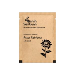 Bibit Bunga Aster Rainbow Mixed Heirloom Premium