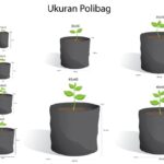 Polybag Tanaman Satuan Ukuran Besar 30 - 50 Bahan Plastik Tebal