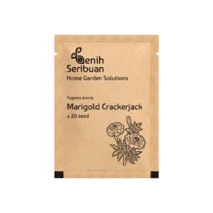 Bibit Bunga Marigold Crackerjack Heirloom Premium