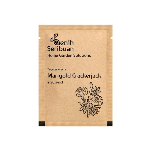 Bibit Bunga Marigold Crackerjack Heirloom Premium 2 Bibit Bunga Marigold Crackerjack Heirloom Premium
