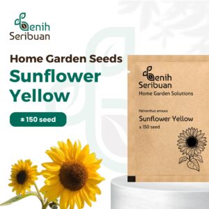 Benih Bunga Matahari Kuning Sunflower Yellow Unggul Premium