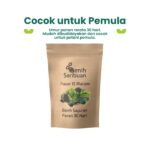Paket Berkebun Sayur Cepat Panen 30 Hari : Paket 15 Sayur Pemula + Pupuk Organik Cair Daun 250ml