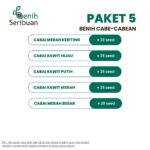 Benih Cabe Rawit 5 Macam Varian Tanaman Paket Lengkap Unggul