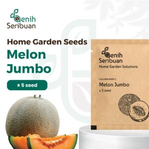 Benih Buah Melon Jumbo F1 Hibrida Premium 