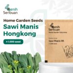 Benih Sawi Manis Hongkong