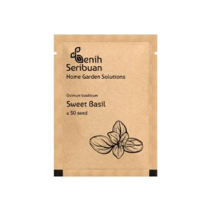 Benih Sweet Basil Italian Heirloom Tanaman Herb Premium