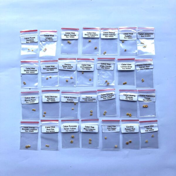 Benih Cabe Hias Ornamental Pelangi, Carolina, Jalapeno DLL