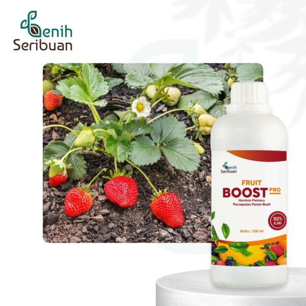 Pupuk Pelebat Buah Fruit Boost Pro 500mL Nutrisi Percepatan Pembuahan Organik Cair