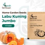 Benih Buah Labu Kuning Jumbo Unggul Premium