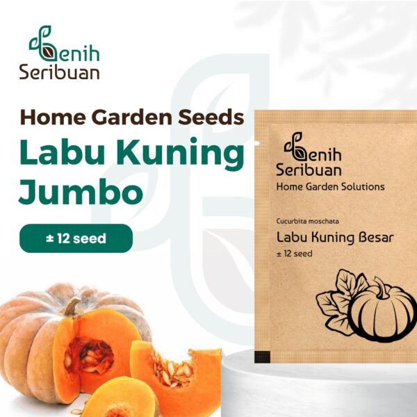 Benih Buah Labu Kuning Jumbo Unggul Premium