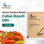 Benih Cabe Rawit ORI