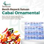 Benih Cabe Hias Ornamental Pelangi, Carolina, Jalapeno DLL
