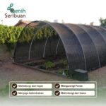 Paranet Peneduh Sinar UV Matahari dan Hujan – Perlindungan Maksimal Greenhouse Kebun Arena Bermain Kolam Kandang dari Matahari & Hujan