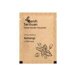 Benih Daun Kemangi