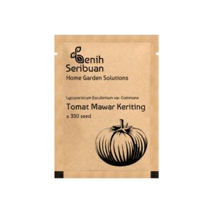 Benih Tomat Keriting Mawar