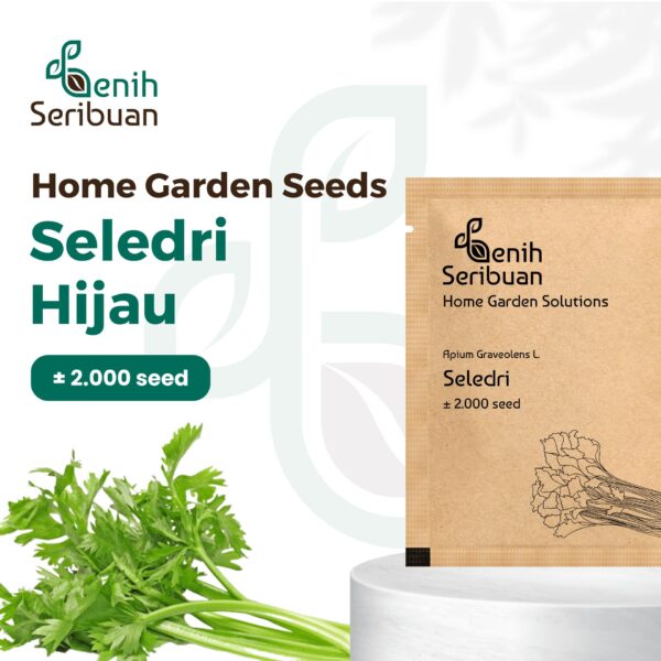 Benih Seledri