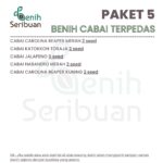 Benih Cabe Pedas 5 Macam Benih Cabai Seribuan Pedas