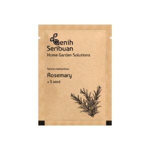 Benih Rosemary Heirloom Tanaman Herb Premium