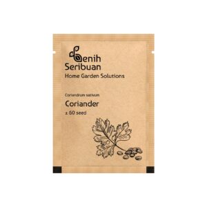 Benih Herb Coriander Daun Ketumbar Tanaman Heirloom