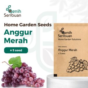Benih Buah Anggur Merah Heirloom Premium