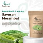 Paket 5 Macam Benih Sayuran Rambat Benih Sayur Merambat Seribuan