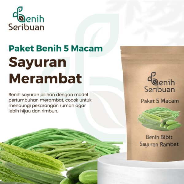 Paket 5 Macam Benih Sayuran Rambat Benih Sayur Merambat Seribuan 1 Paket 5 Macam Benih Sayuran Rambat Benih Sayur Merambat Seribuan