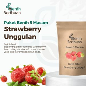 Benih Strawberry 5 Macam Benih Buah Stroberi Unggul Seribuan