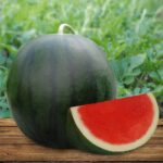 Benih Buah Semangka Non Biji Merah F1 Hibrida Premium