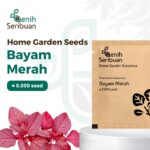 Benih Bayam Merah