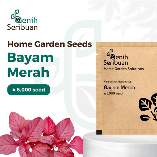 Benih Bayam Merah