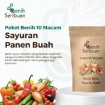 Benih Sayuran Paket 10 Macam Benih Sayur Buah F1 Hibrida Seribuan